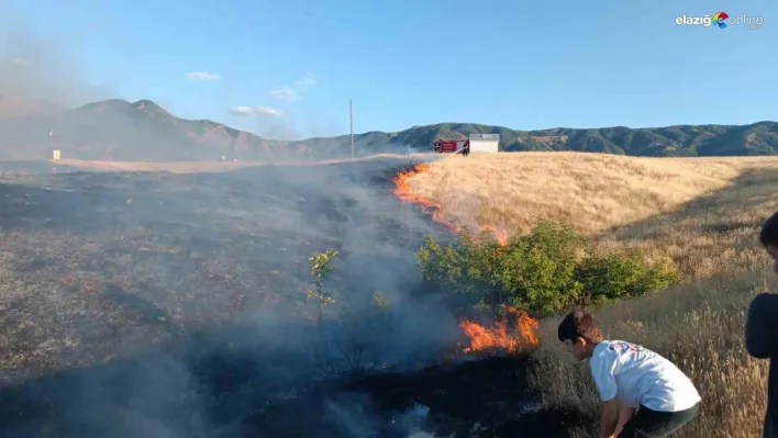 Bingöl'de kırsal alanda çıkan yangın söndürüldü