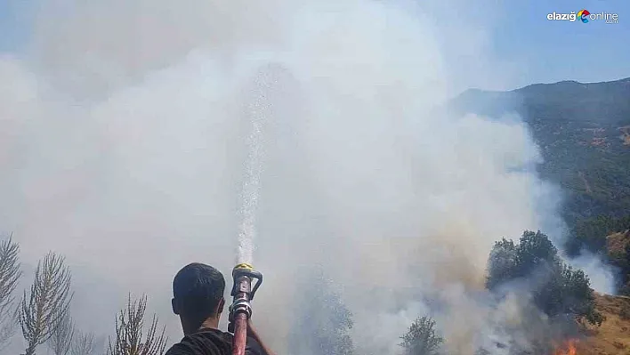 Bingöl'de kırsal alanda çıkan yangın söndürüldü