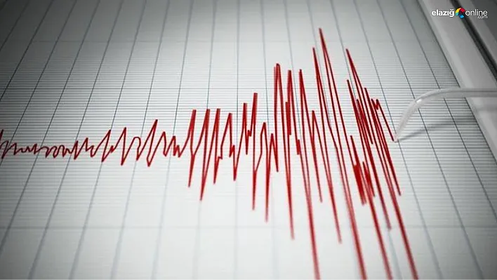 Bingöl'de korkutan deprem