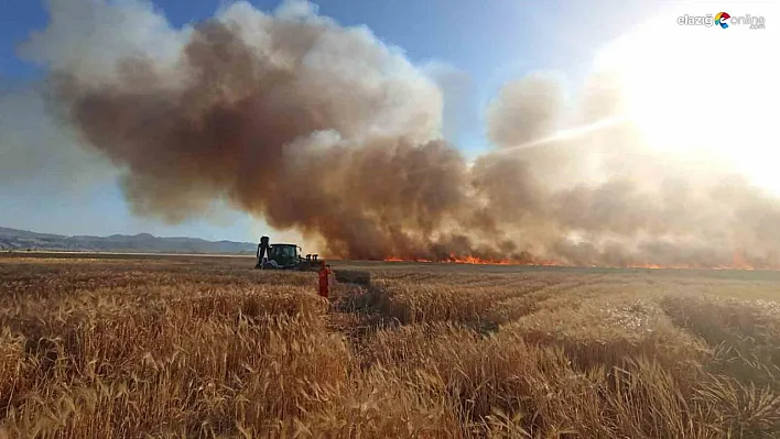 Bingöl'de onlarca dönüm ekili arazi küle döndü