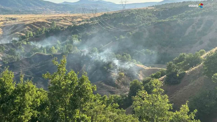 Bingöl'de orman yangını büyümeden söndürüldü