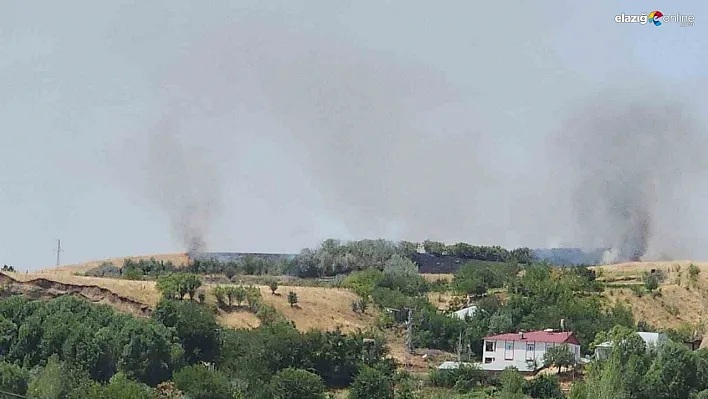 Bingöl'de orman yangınına müdahale sürüyor