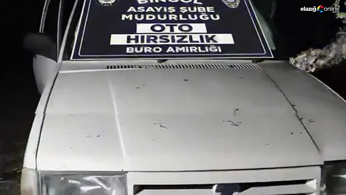 Bingöl'de oto hırsızları yakalandı