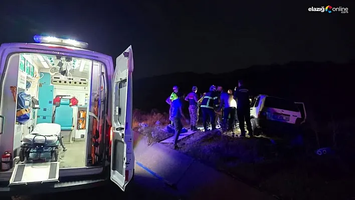 Bingöl'de otomobil ata çarptı: 2 yaralı