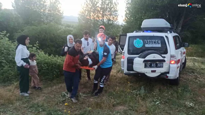 Bingöl'de otomobil uçuruma yuvarlandı: 2 yaralı