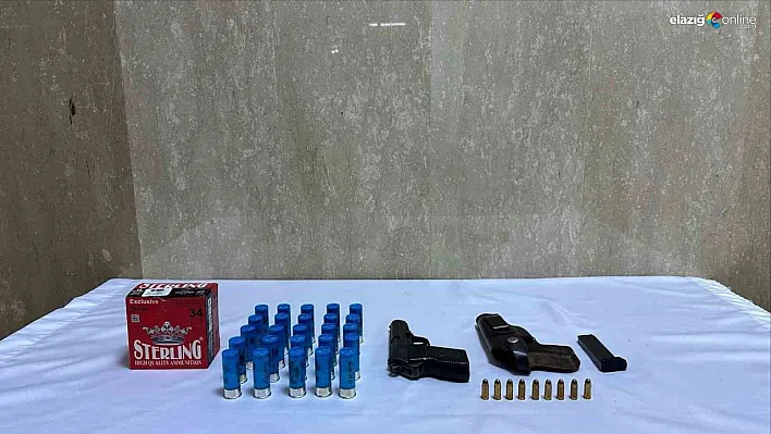 Bingöl'de tabanca ve fişek ele geçirildi