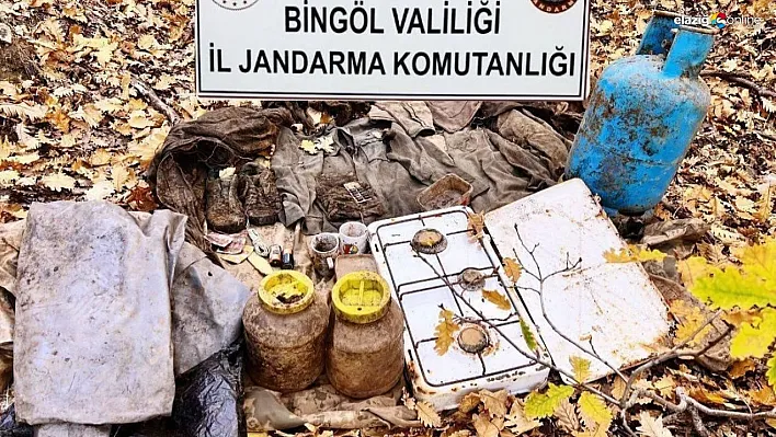 Bingöl'de teröristlerin inlerine girildi