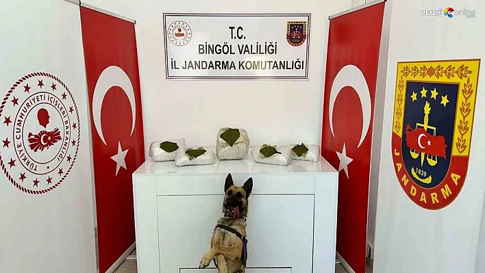 Bingöl'de toprağa gömülü 13 kilo uyuşturucu ele geçirildi