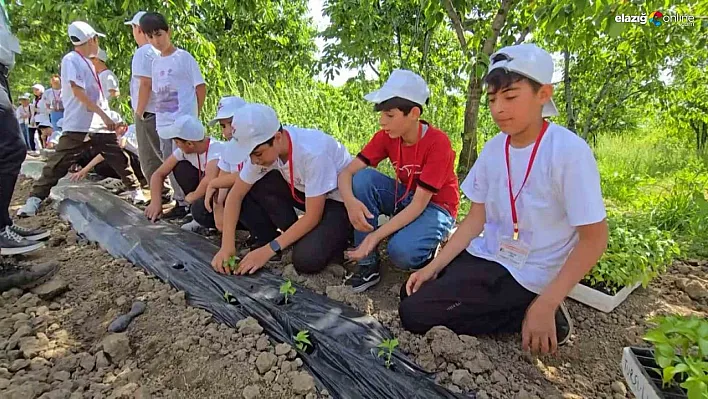 Bingöl'de TÜBİTAK 4004 başarısı