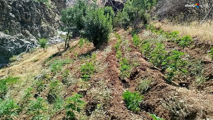 Bingöl'de uyuşturucu operasyonu