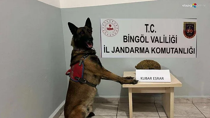 Bingöl'de uyuşturucu ve  aranan şahıslara yönelik çalışma