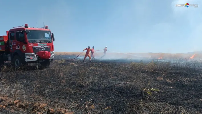 Bingöl'de yaklaşık 100 dönümlük tarım alanı yandı