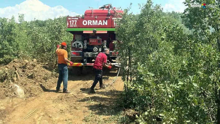 Bingöl'deki orman yangını erken müdahaleyle büyümeden söndürüldü