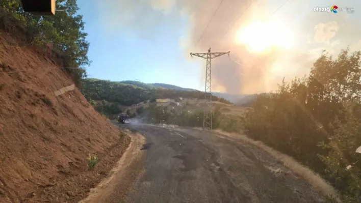 Bingöl'deki orman yangınına müdahale devam ediyor