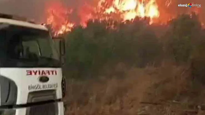 Bingöl'den Hatay'a destek