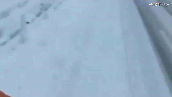 Bingöl'ün yüksek kesimleri beyaza büründü