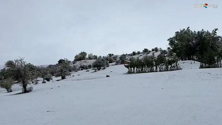 Bingöl'ün yüksek kesimlerine mevsimin ilk karı yağdı