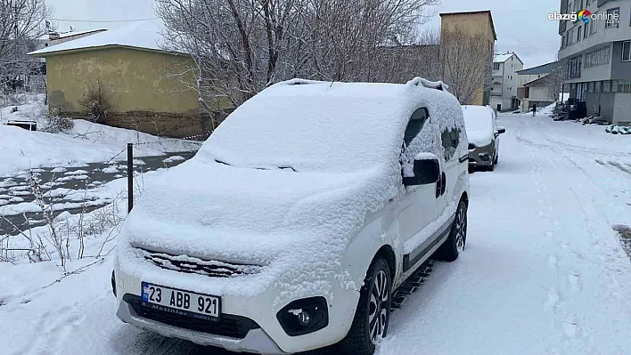 Bir hafta önce bahar temizliği yapılan ilçe kara teslim oldu