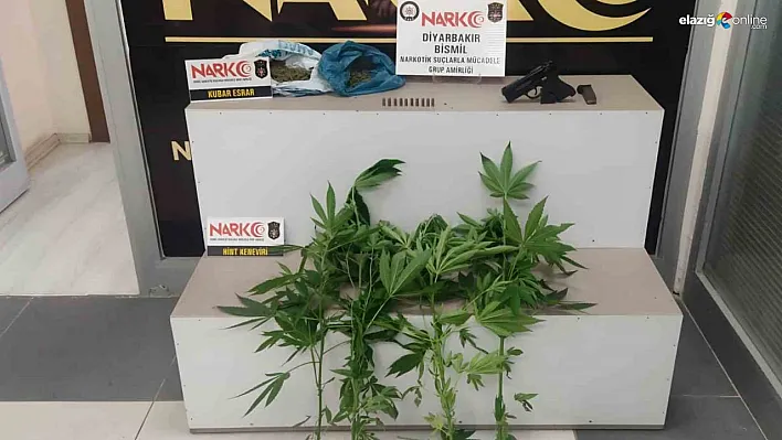 Bismil'de narkotik operasyonu: 2 gözaltı