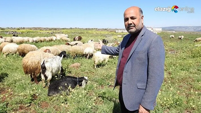 Türkmen: Thodexteki tosuna değil ahırdaki tosuna bakmalıyız