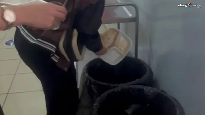 Bu okulda atık yiyecekler çöpe değil, sokak hayvanlarına gidiyor