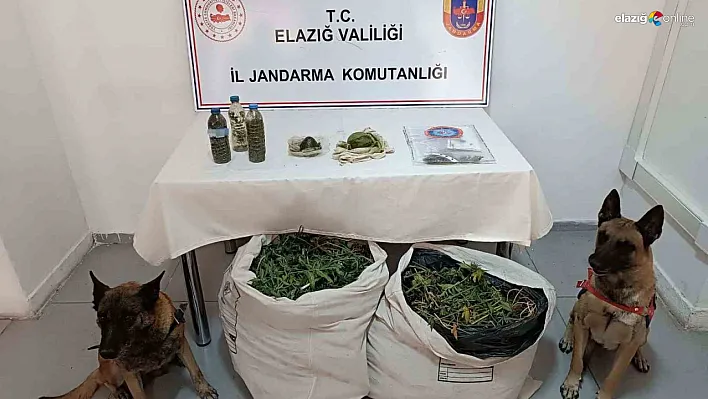 Elazığ ve Diyarbakır'da Uyuşturucuya Geçit Yok