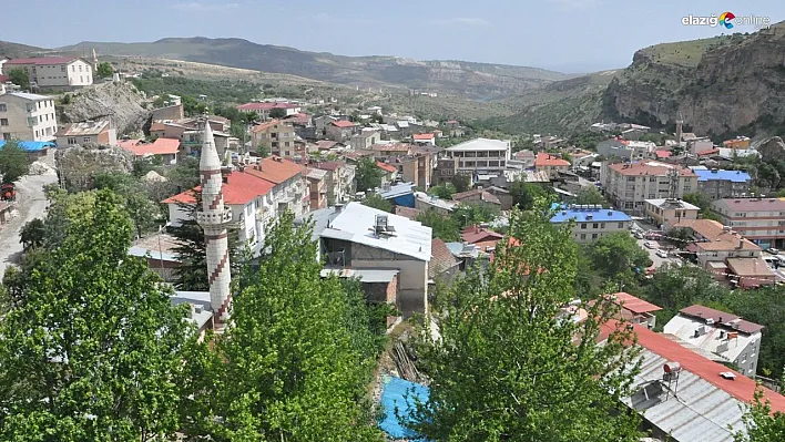 Çemişgezek'te koyun-keçi çiçek hastalığı görüldü