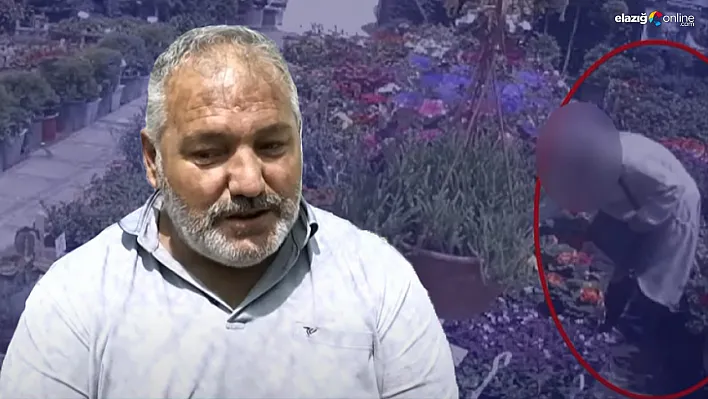 Çiçek Zaruri Değil Ama Hırsızlar Durmuyor: Elazığlı Esnaf İsyan Etti!