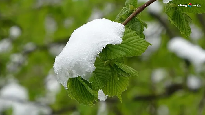 Çiftçiler Dikkat! Meteoroloji'den Elazığ'a Zirai Don Uyarısı!