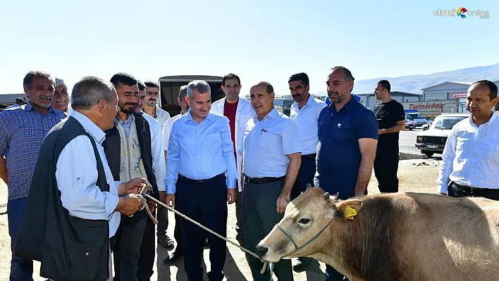 Çınar, canlı hayvan pazarını ziyaret edip, üreticilerle bir araya geldi