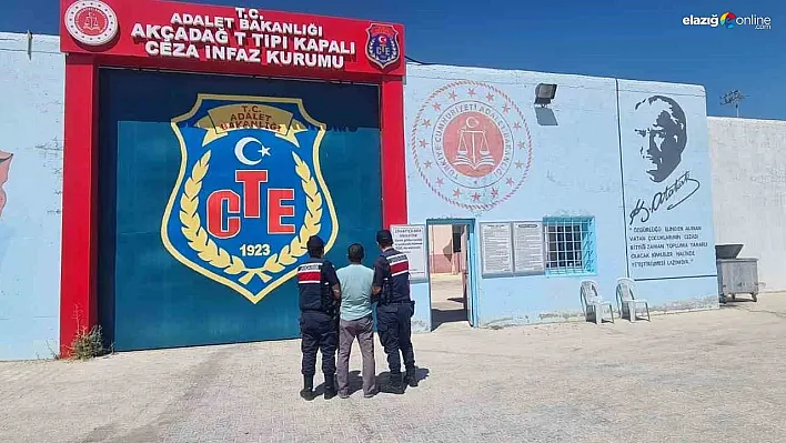 Cinayet zanlısı jandarma tarafından yakalandı