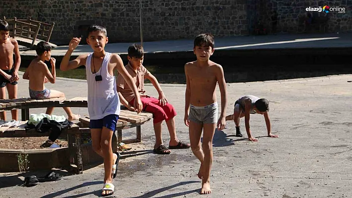 Çocuklar 'ekim' dinlemedi, Anzele'nin yolunu tuttu
