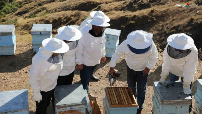 Geven balı hasadı başladı: Coğrafi işaretli ürün Avrupa yolunda