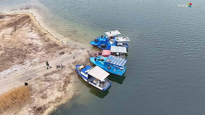 Denizi olmayan Malatya'da balık ihracatı