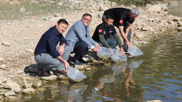 Dicle ilçesindeki Kralkızı Barajına 100 bin pullu sazan yavrusu bırakıldı