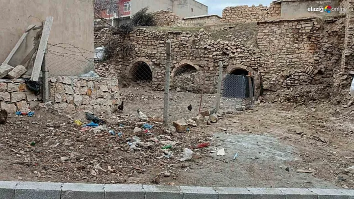 Dicle ilçesindeki tarihi mekan turizme kazandırılmayı bekliyor