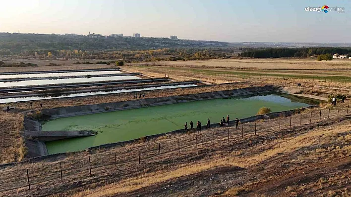 Diyarbakır'da Kayıp Polis Memuru 6 Gündür Her Yerde Aranıyor!