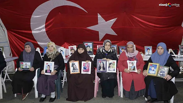 Diyarbakır anneleri o günde evlatlarına seslendi