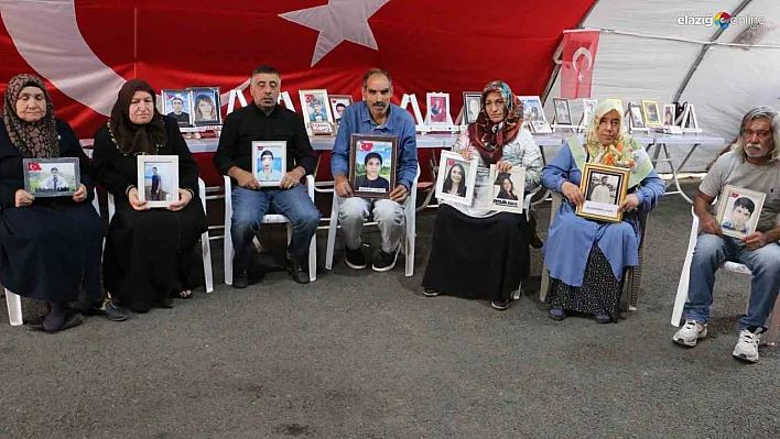 Diyarbakır anneleri evlat nöbetine kararlılıkla devam ediyor