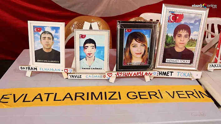 Diyarbakır anneleri evlatlarının yolunu umutla gözlüyor