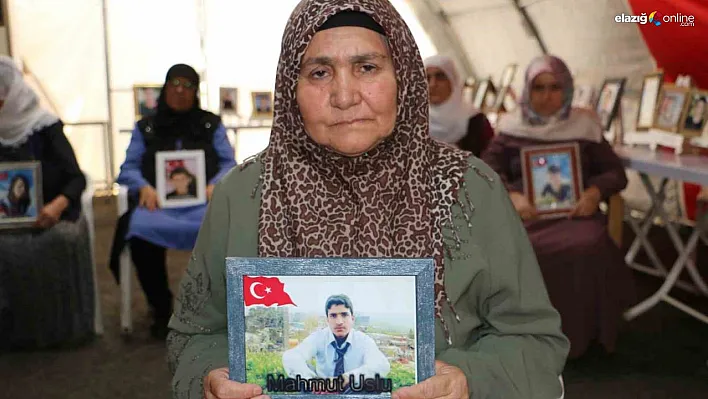 Diyarbakır annelerinden Bedriye Uslu'dan kararlılık vurgusu!