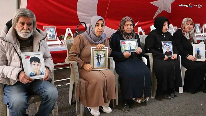 Diyarbakır annelerinden CHP'ye çağrı