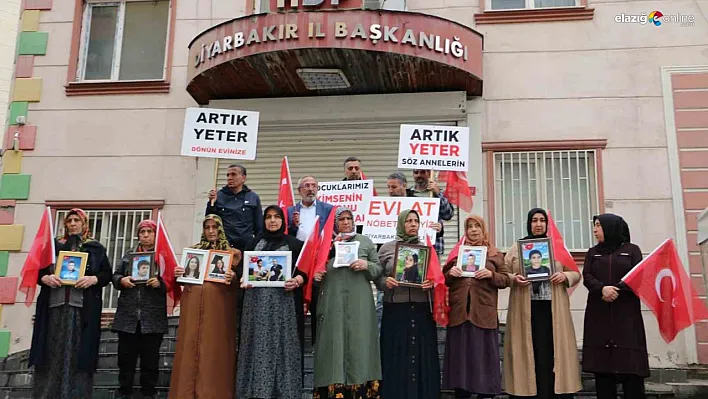 Diyarbakır annelerine bir aile daha katıldı