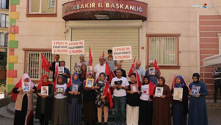 Diyarbakır annelerinin 5'inci yıl çağrısı devam ediyor