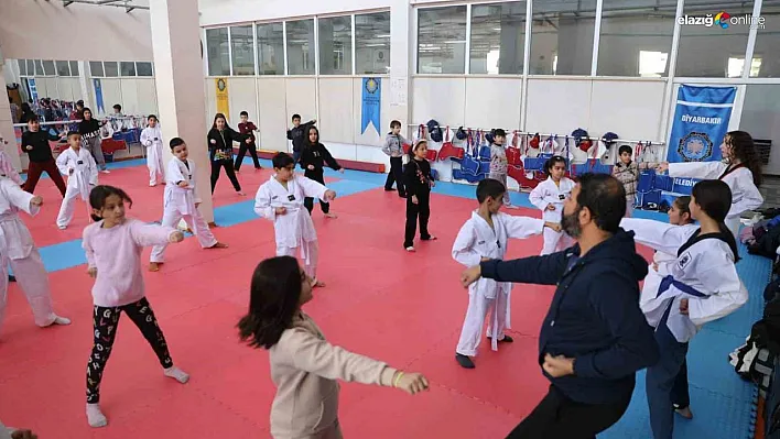 Diyarbakır Büyükşehir Belediyesinin ücretsiz spor kursları başladı