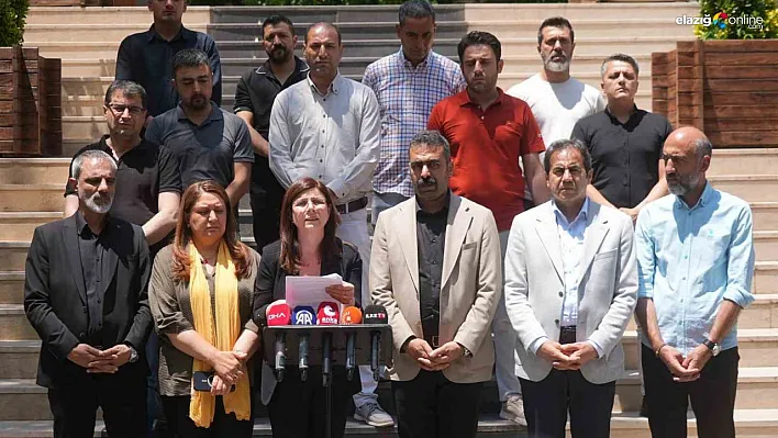 Büyükşehir Başkanı Ayşe Serra Bucak'tan Diyarbakır Yangınıyla İlgili Şok İddialar!