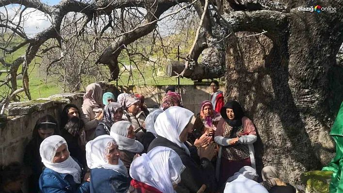 Diyarbakır'da 'Murat Şenlikleri' yapıldı