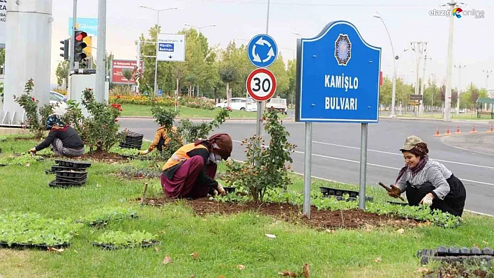 Diyarbakır'da sezonun ilk çiçekleri toprakla buluştu!