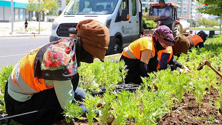 Diyarbakır'da 1 milyon 520 bin çiçek toprakla buluştu