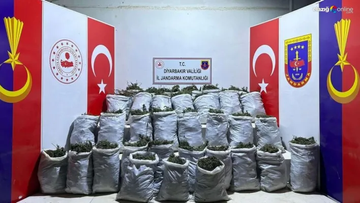 Diyarbakır'da 10 bin kök kenevir ve 202 kilo esrar ele geçirildi